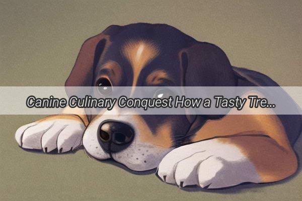 Canine Culinary Conquest How a Tasty Treat Tempts a Versatile Border Collie